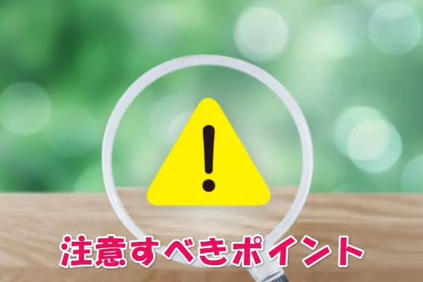 楽天ペイ後払い決済現金化の注意点